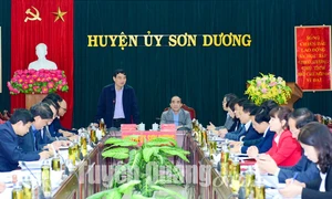 Tạo điều kiện cho Sơn Dương hoàn thành xây dựng nông thôn mới vào năm 2025