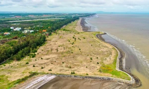 TP. Hồ Chí Minh: Huyện Cần Giờ sai phạm trong giao đất công, sử dụng ngân sách thế nào?