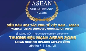 Diễn đàn hợp tác kinh tế Việt Nam – ASEAN: Cơ hội kết nối, hợp tác xúc tiến thương mại ASEAN