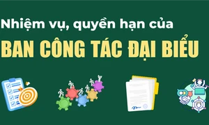 Nhiệm vụ, quyền hạn của Ban Công tác đại biểu