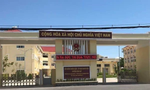 TP. Hồ Chí Minh: Hàng loạt sai phạm trong công tác điều hành, quản lý tại huyện Cần Giờ