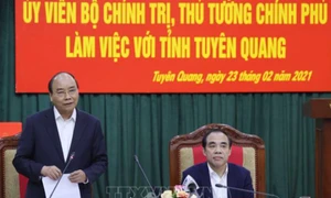 Tuyên Quang phải trở thành trọng điểm của ngành chế biến gỗ