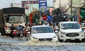 Việt Nam đóng góp tích cực cho hội nhập khu vực về môi trường