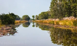 Bộ TN-MT đề xuất thành lập mạng lưới các khu Ramsar Việt Nam