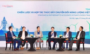 Thúc đẩy chuyển đổi năng lượng xanh và sạch cho Việt Nam