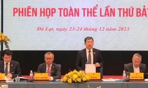 Ủy ban Đối ngoại họp phiên toàn thể thứ 7