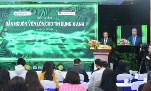 Thúc đẩy tín dụng xanh không thể chỉ dựa vào ngân hàng