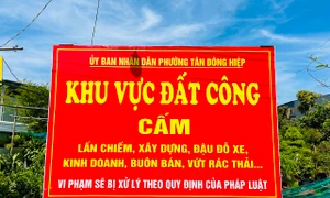 Bình Dương: Phường Tân Đông Hiệp cho thuê đất công nhưng tiền nộp về không biết ai giữ!