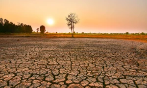 Hiện tượng El Nino đe doạ ngành công nghiệp của châu Phi