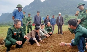 Quảng Bình: Đồng bào dân tộc vùng biên giới phát triển kinh tế từ cây gai xanh