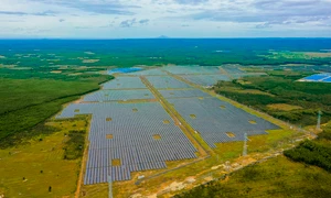 Bình Phước: Chưa được cho thuê đất, Công ty cổ phần Năng lượng Lộc Ninh 3 vẫn ngang nhiên xây nhà máy điện mặt trời