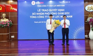 Tổng công ty Điện lực miền Nam công bố và trao Quyết định bổ nhiệm các Phó Tổng Giám đốc