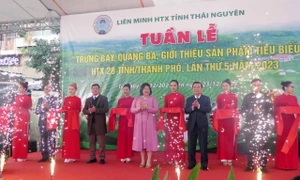 Thái Nguyên: Trưng bày, giới thiệu sản phẩm OCOP của 28 tỉnh, thành phố