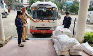 Quảng Bình: Phát hiện nhiều thực phẩm không rõ nguồn gốc đang trên đường vận chuyển