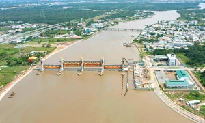 TP. Hồ Chí Minh: Lên phương án phòng, chống hạn hán, thiếu nước phục vụ sản xuất, sinh hoạt năm 2024