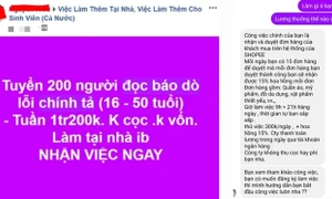 Cảnh giác với chiêu trò lừa đảo việc làm dịp cận Tết