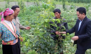 Điểm sáng trong công tác giảm nghèo