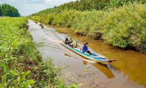 Cà Mau đồng bộ giải pháp phòng, chữa cháy rừng