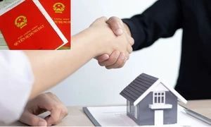 Kê khai không đúng giá trị chuyển nhượng Quyền sử dụng đất bị xử phạt thế nào?