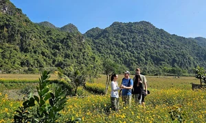 Làng chài Việt Hải – điểm du lịch cộng đồng lý tưởng