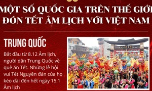 Một số quốc gia trên thế giới đón Tết âm lịch như Việt Nam