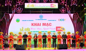 Hà Nội: Khai mạc Lễ hội hoa đào, quất cảnh và sản phẩm OCOP Xuân Giáp Thìn 2024