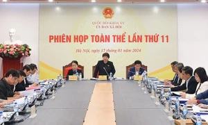 Ủy ban Xã hội họp Phiên toàn thể lần thứ 11