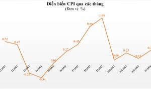 Giá điện và gạo đẩy CPI tăng 0,31%