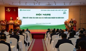 Doanh thu đạt cao thứ 2 lịch sử