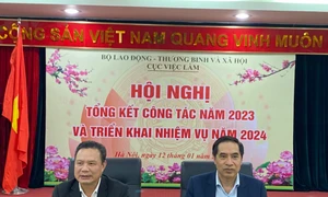 Hàng triệu lao động được giới thiệu việc làm trong năm 2023