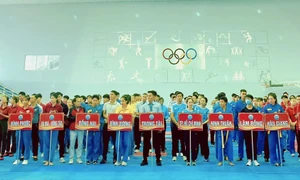 Bình Dương: Khai mạc Giải vô địch Vovinam miền Đông Nam Bộ mở rộng năm 2022