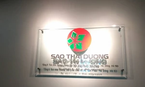 SJF: Lợi nhuận âm, dùng ô tô thế chấp để vay ngân hàng