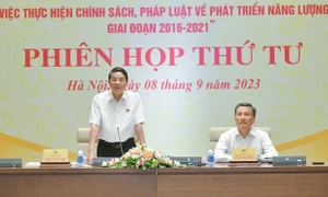 Phó Chủ tịch Quốc hội Nguyễn Đức Hải chủ trì phiên họp của Đoàn giám sát về năng lượng