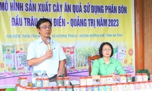 Hội thảo đầu bờ mô hình sản xuất cây ăn quả sử dụng phân bón Bình Điền