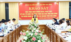 Hòa Bình: Tích cực triển khai các biện pháp thu hồi nợ xấu của tổ chức tín dụng