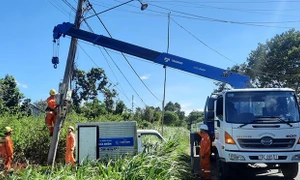 Điện lực Phú Yên đảm bảo an toàn lưới điện trước mùa mưa bão