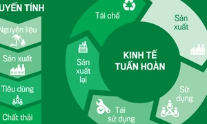 Dự thảo Nghị định ưu đãi cho doanh nghiệp tham gia thử nghiệm phát triển kinh tế tuần hoàn