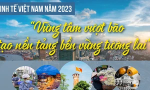 “Vững tâm vượt bão”, tạo nền tảng bền vững tương lai”