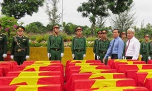 Tiễn Anh ngày quy tập