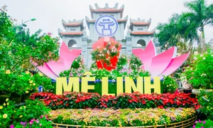 Mê Linh rực rỡ sắc hoa 2022