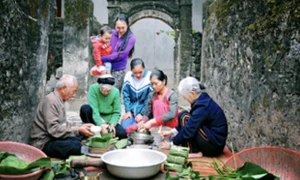 Dẻo thơm Tranh Khúc