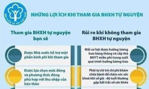 BHXH tự nguyện: “Chìa khóa vàng” để mọi người dân có thể tự tin bước vào tuổi già