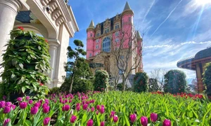 Sun World Ba Na Hills hứa hẹn hút khách dịp Tết Ất Tỵ với lễ hội hoa 2025 