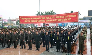 Quảng Trị: Ra quân tấn công trấn áp tội phạm, bảo đảm an ninh, trật tự Tết Nguyên đán Ất Tỵ