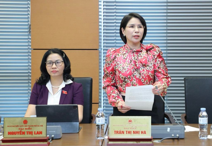 ĐBQH Trần Thị Nhị Hà phát biểu tại buổi thảo luận tổ img-1257.jpg