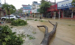 Sơn La: Mưa lớn gây tốc mái và sập đổ hàng chục nhà dân