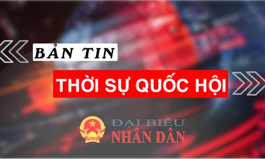 Bản tin Thời sự Quốc hội ngày 26.8.2024