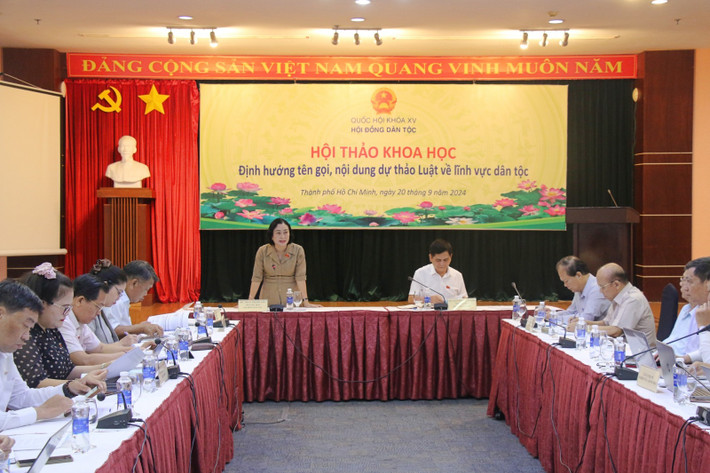 Phó Chủ tịch Hội đồng Dân tộc Trần Thị Hoa Ry phát biểu Phó Chủ tịch Hội đồng Dân tộc Trần Thị Hoa Ry phát biểu