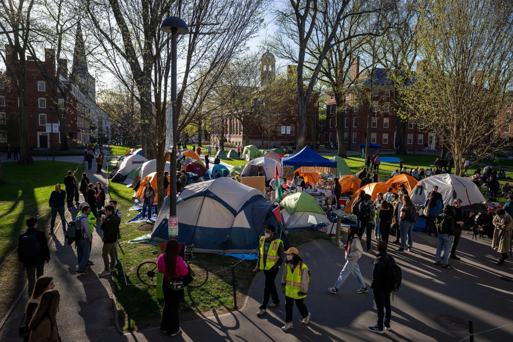 Sinh viên Harvard cắm trại trong khuôn viên của trường để phản đối yêu sách của Chính quyền Tổng thống Donald Trump. Ảnh: AP Sinh viên Harvard cắm trại trong khuôn viên của trường để phản đối yêu sách của Chính quyền Tổng thống Donald Trump. Ảnh: AP