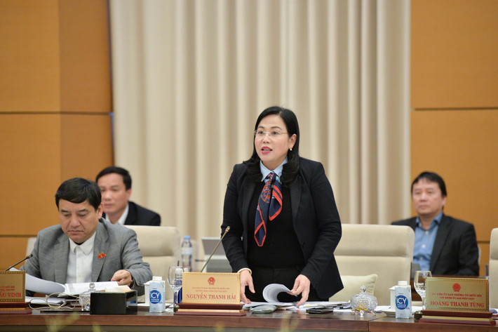 Trưởng Ban Công tác đại biểu Nguyễn Thanh Hải phát biểu. Ảnh: Hồ Long truong-ban-cong-tac-dai-bieu-nguyen-thanh-hai.jpg